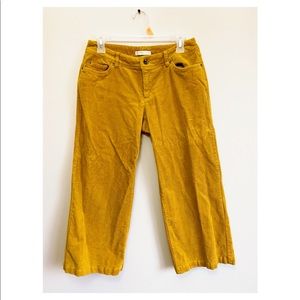 Corduroy pants